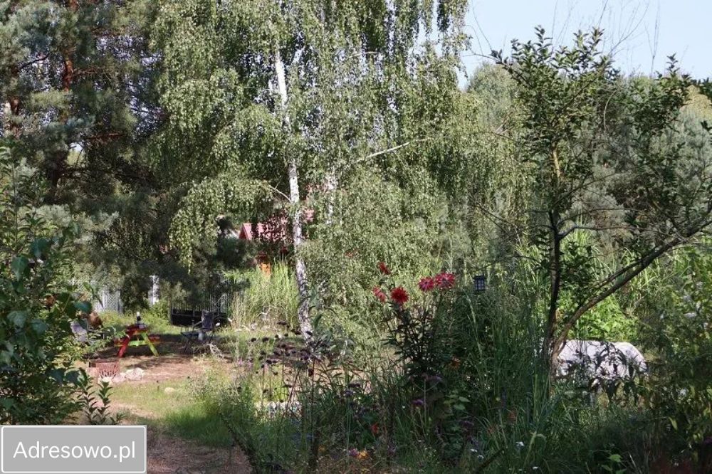 Działka budowlana Wólka Kobylańska, ul. Dębowa. Zdjęcie 8