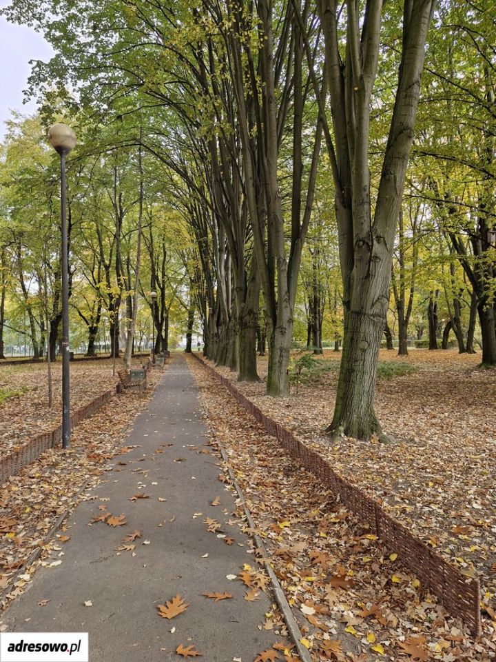 Mieszkanie 2-pokojowe Warszawa Mokotów, ul. Wojciecha Żywnego. Zdjęcie 17