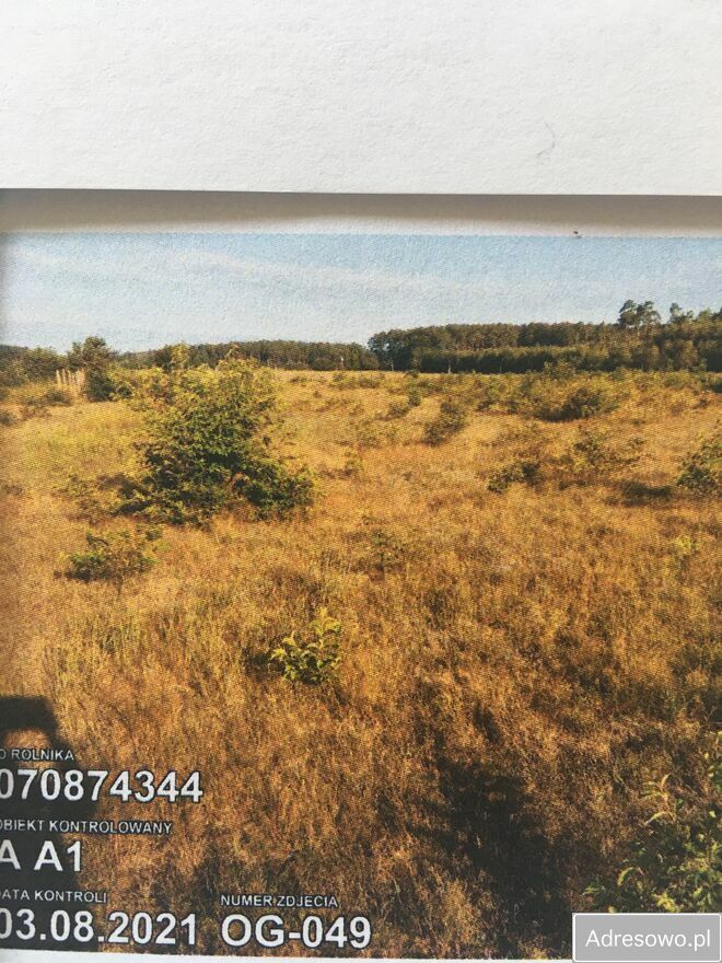 Działka budowlana Miękowo. Zdjęcie 3