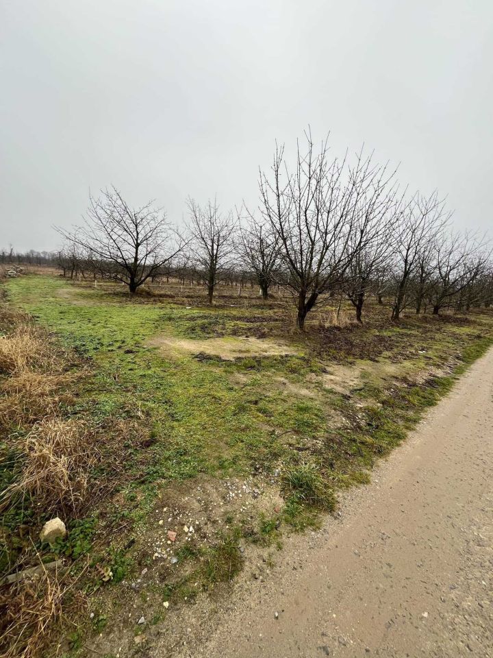 Działka budowlana Grobice. Zdjęcie 2