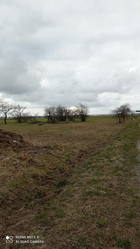 Hala/magazyn Wielka Wieś, ul. Strzelecka. Zdjęcie 8