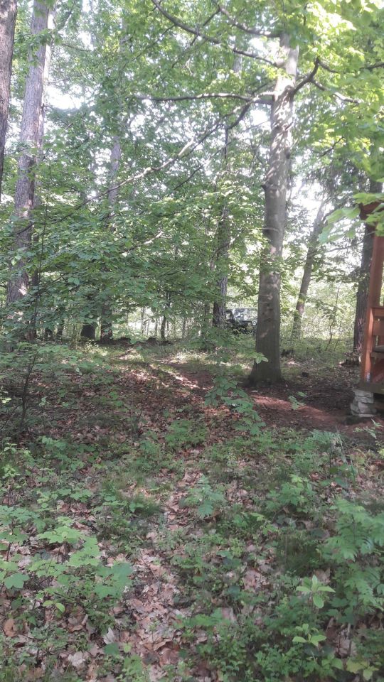 Działka rekreacyjna Czaniec, ul. Myśliwska. Zdjęcie 5