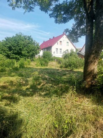 Działka siedliskowa Przystawy. Zdjęcie 1