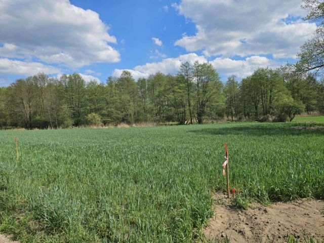 Działka budowlana Nadrożno. Zdjęcie 1