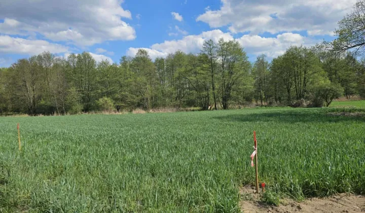 Działka budowlana Nadrożno