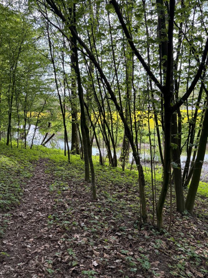 Działka rolno-budowlana Ostrów. Zdjęcie 7