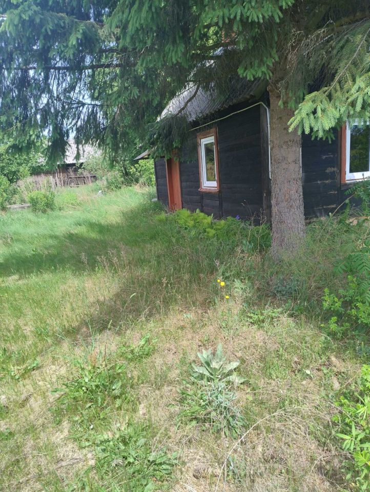 Działka rolno-budowlana Budykierz. Zdjęcie 1