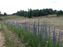 Działka rolno-budowlana Białki Górne. Zdjęcie 3