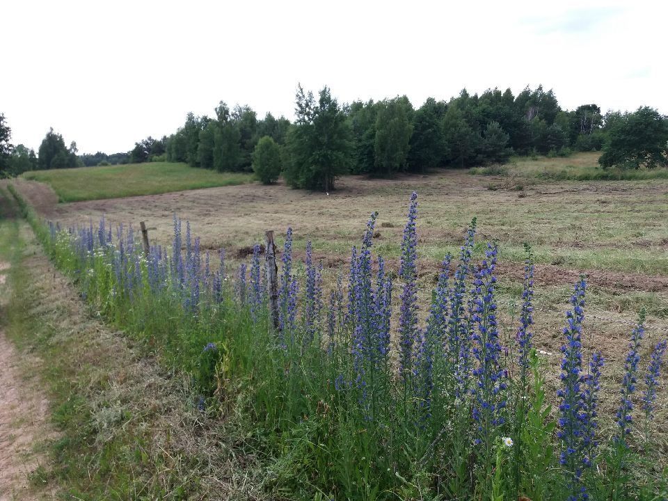 Działka rolna Białki Górne. Zdjęcie 4