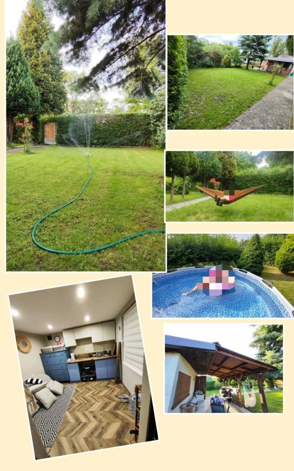 Działka rod Bytom, ul. Piłkarska. Zdjęcie 5