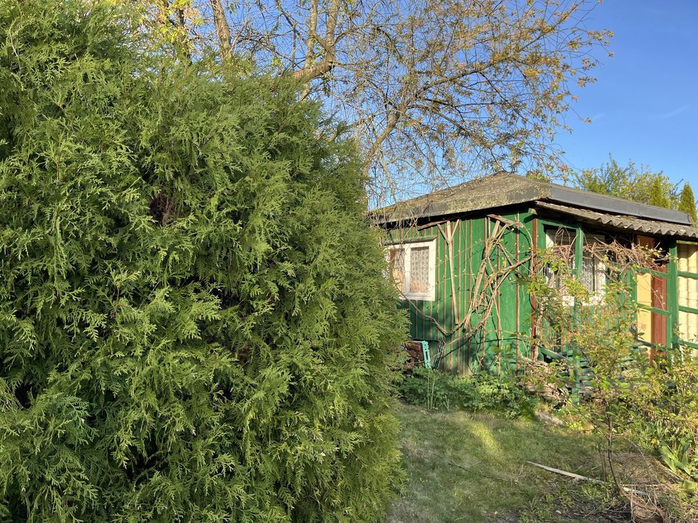 Działka rod Białystok Jaroszówka, ul. Adama Mickiewicza. Zdjęcie 7