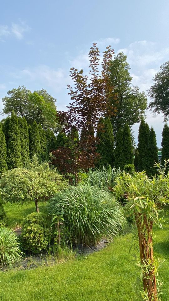 dom wolnostojący, 6 pokoi Chocianów, ul. Szprotawska. Zdjęcie 37