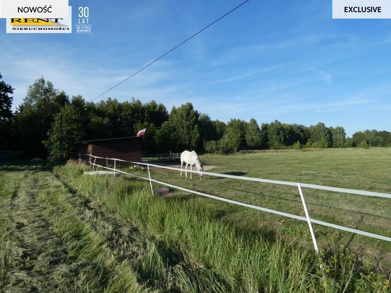 Działka budowlana Łoźnica. Zdjęcie 14