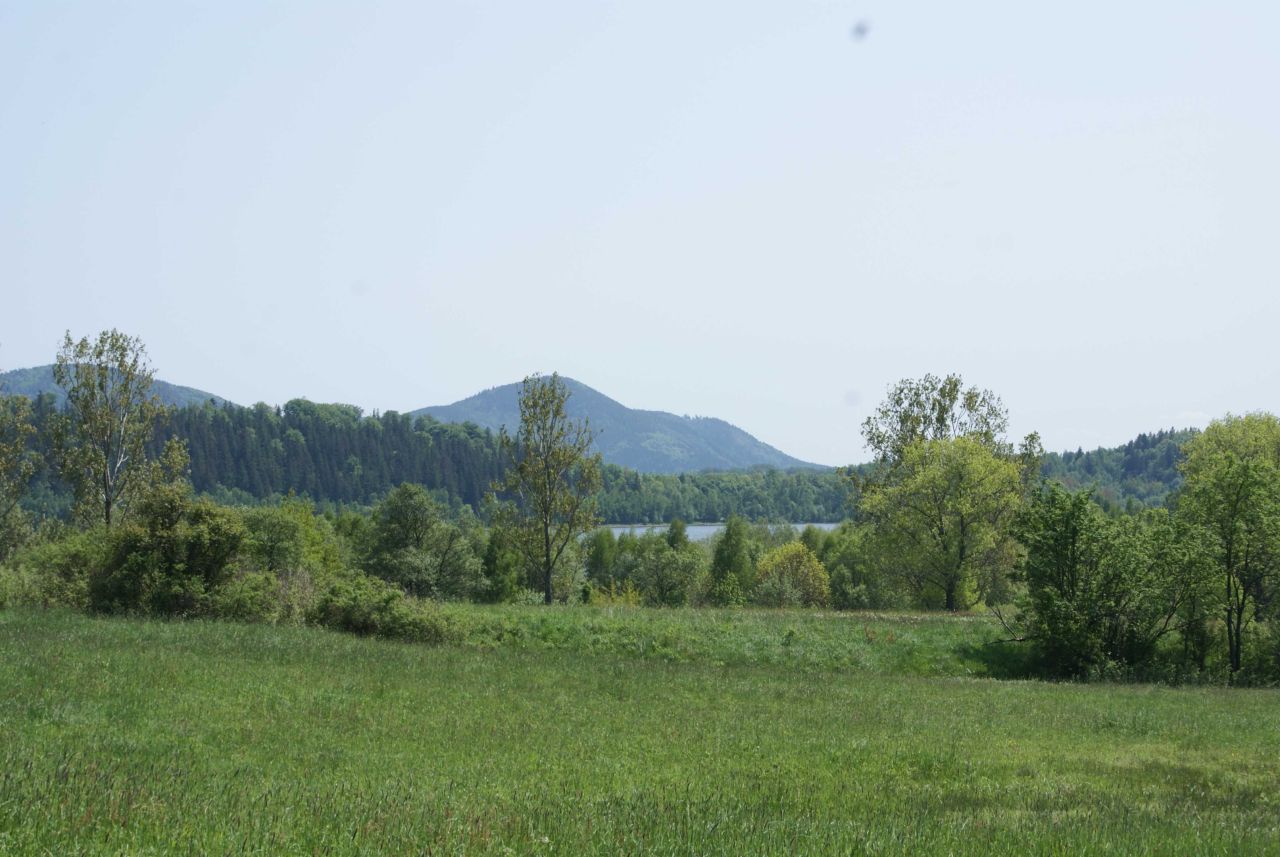 Działka rekreacyjna Miszkowice. Zdjęcie 2