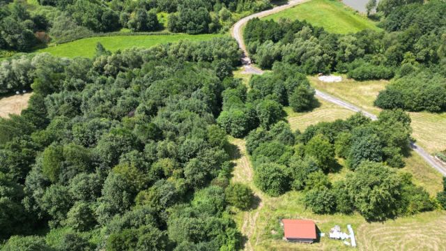 Lokal Gaj Brzyczyna, ul. Spadzista. Zdjęcie 8