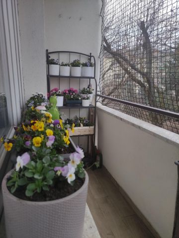 Mieszkanie 4-pokojowe Kraków Krowodrza, ul. Józefa Friedleina. Zdjęcie 27