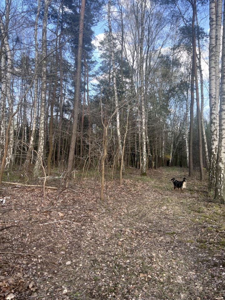 Działka budowlana Duchnów, ul. Różana. Zdjęcie 4