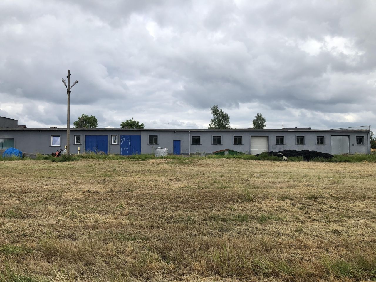 Hala/magazyn Pisarzowice, ul. Wrocławska. Zdjęcie 3