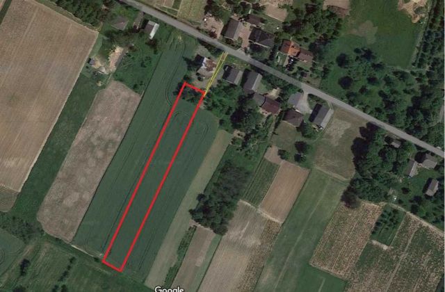 Działka rolno-budowlana Szczodrkowice. Zdjęcie 1