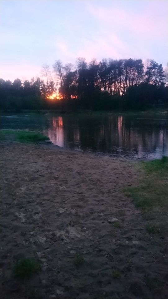 Działka leśna Ponikła. Zdjęcie 7