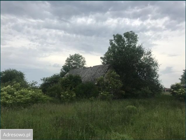 Działka siedliskowa Gniewkowo. Zdjęcie 1