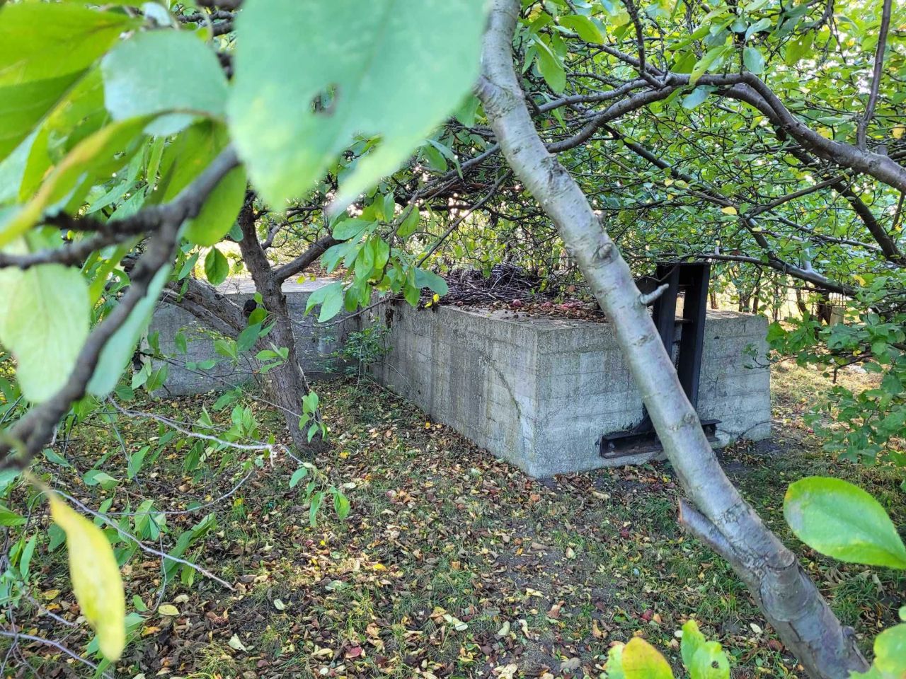 Działka rod Gdańsk Brętowo, ul. mjr. Mieczysława Słabego. Zdjęcie 6