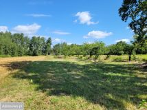 Działka budowlana Powązki. Zdjęcie 3