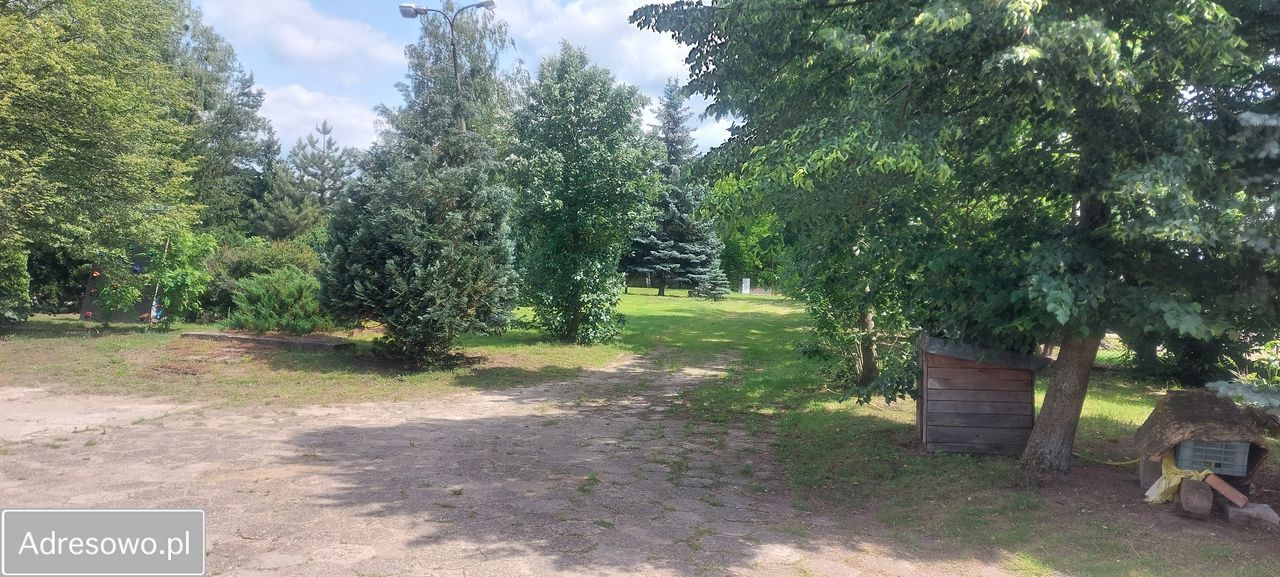 Działka inwestycyjna Juliszew. Zdjęcie 6