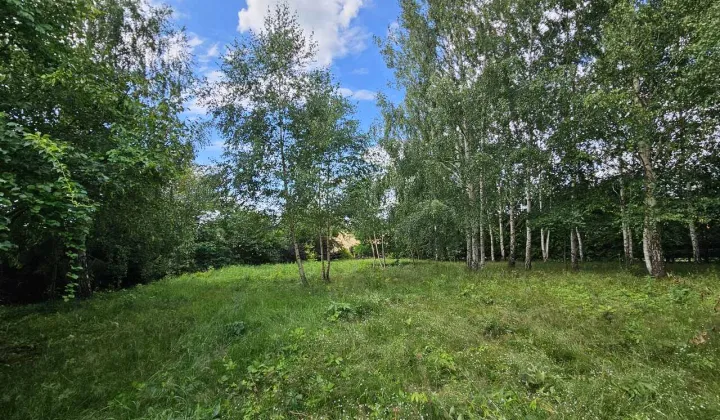 Działka rekreacyjna Urowo Murawki, Murawki