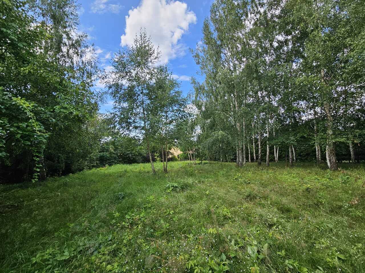 Działka rekreacyjna Urowo Murawki. Zdjęcie 1