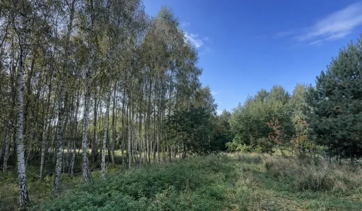 Działka budowlana Łochowice, ul. Łąkowa