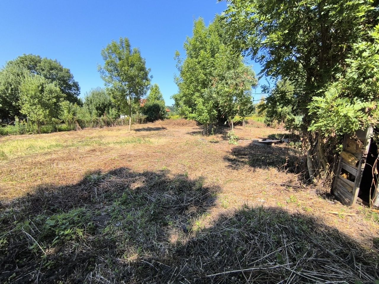 Działka budowlana Mrozów, ul. Piastowska. Zdjęcie 2