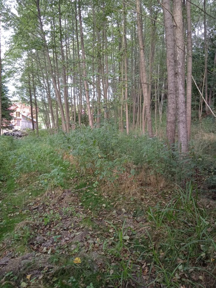 Działka budowlana Błędowa Tyczyńska. Zdjęcie 3