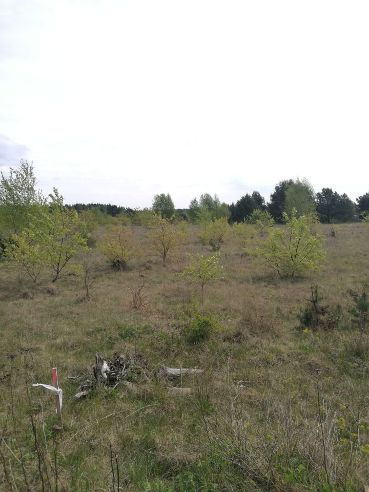 Działka budowlana Skórka. Zdjęcie 9