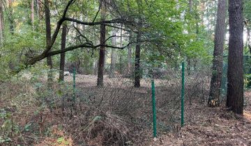 Działka leśna Sikory