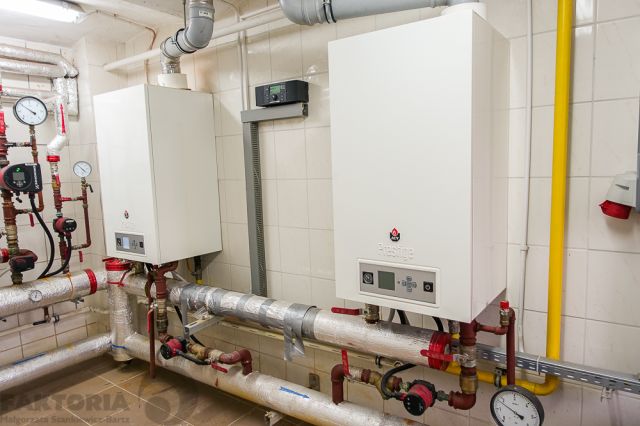 Hala/magazyn Szczecin Pomorzany. Zdjęcie 14