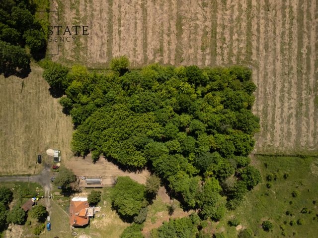 Działka budowlana Słomczyn, ul. Urocza. Zdjęcie 11