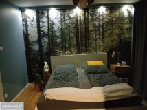 dom szeregowy, 4 pokoje Wilczyce, ul. Wrocławska. Zdjęcie 2