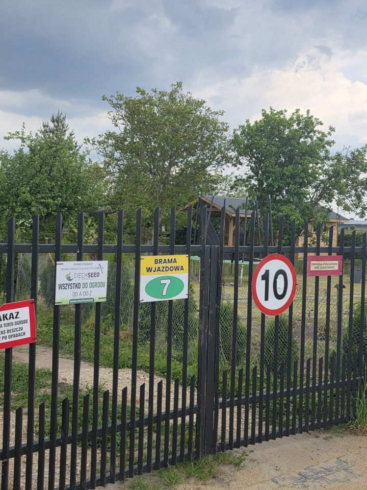 Działka rod Ciechanów. Zdjęcie 7