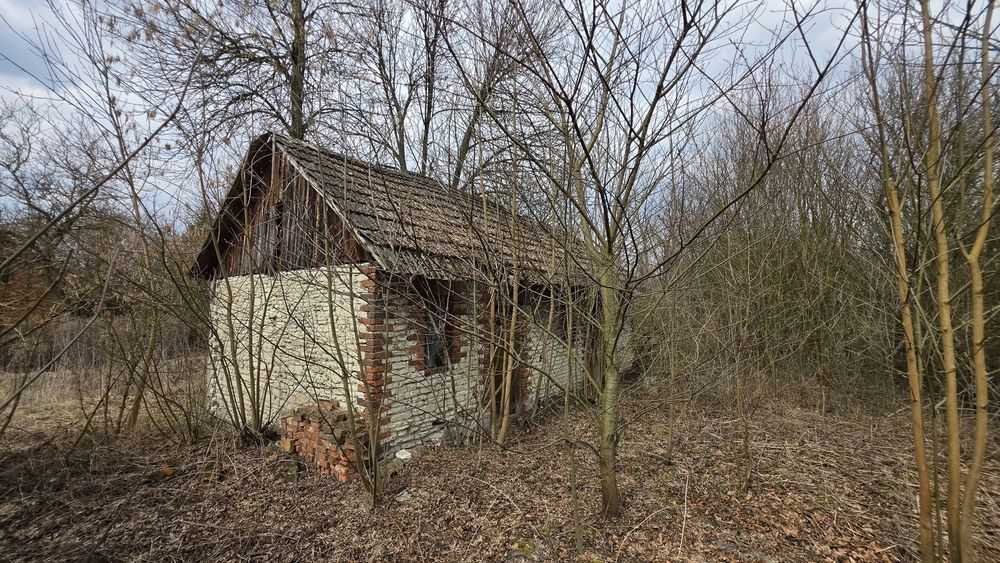 dom wolnostojący Drużykowa. Zdjęcie 4