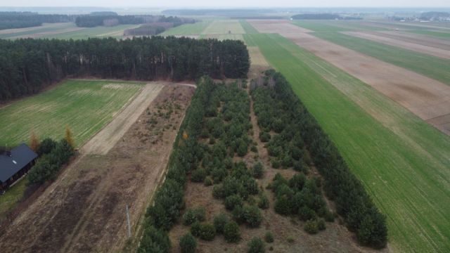 Działka budowlana Przeradowo. Zdjęcie 15