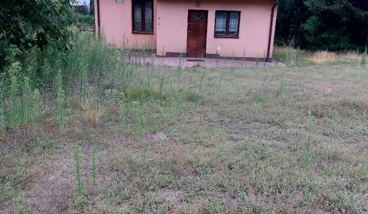 dom wolnostojący Trzcianka