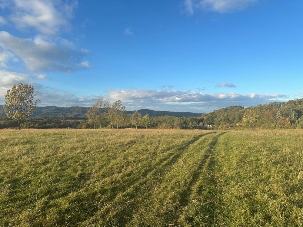 Działka budowlana Dębowina. Zdjęcie 3