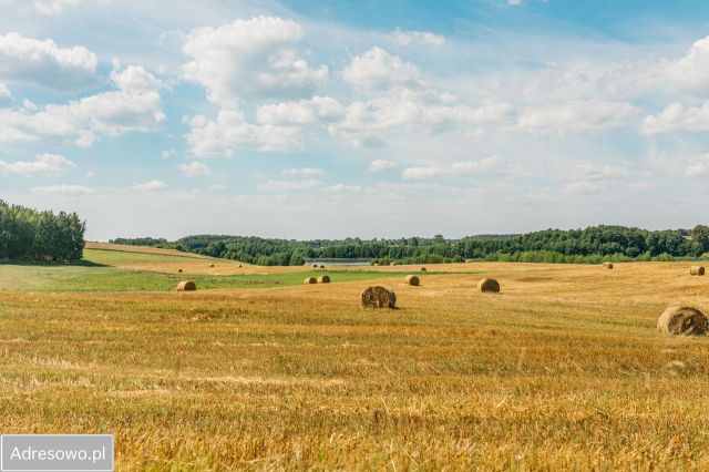 Działka rekreacyjna Nowe Polaszki. Zdjęcie 1