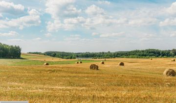 Działka rekreacyjna Nowe Polaszki