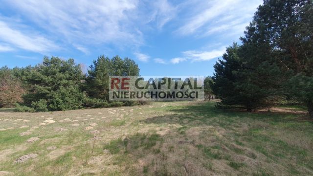 Działka budowlana Powązki. Zdjęcie 2