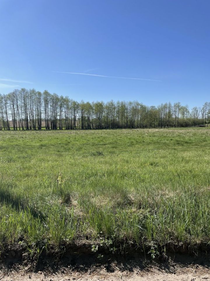 Działka rolno-budowlana Adamowo. Zdjęcie 6