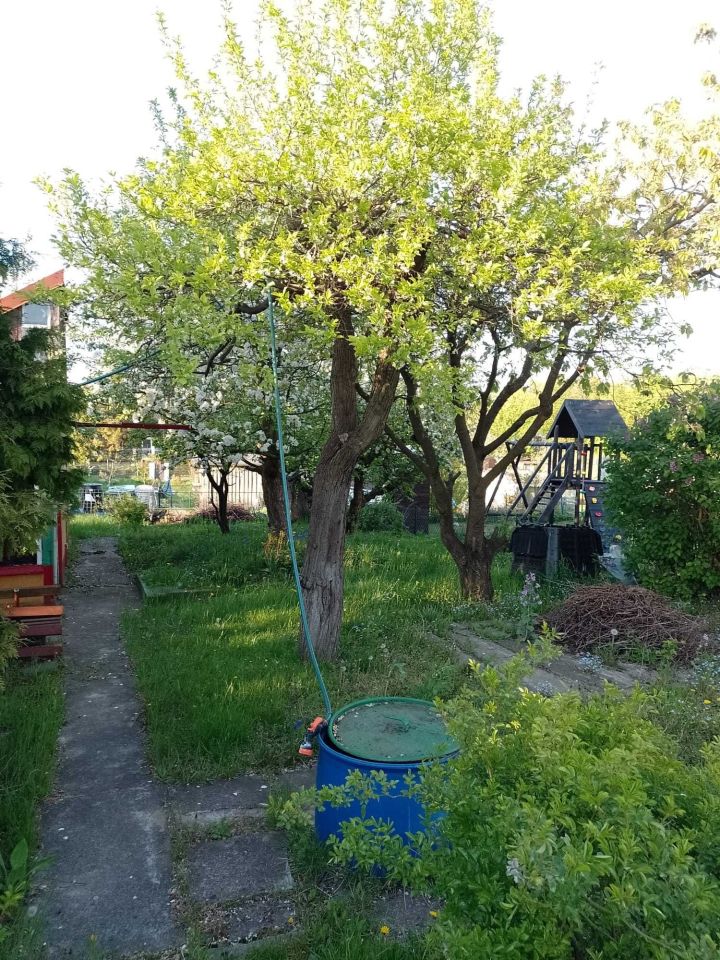 Działka rod Tczew, ul. Targowa. Zdjęcie 3