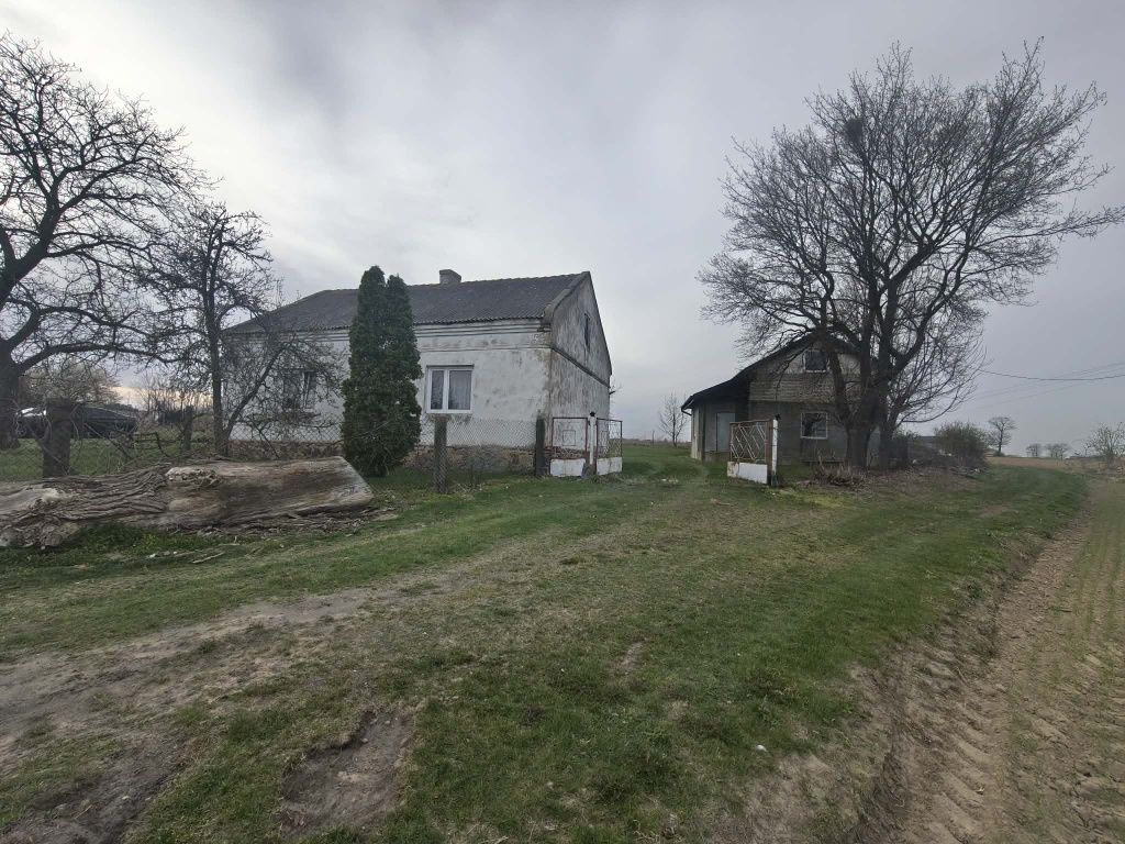 siedlisko Skrzynki. Zdjęcie 7