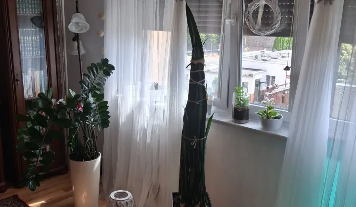 Mieszkanie 3-pokojowe Strzelce Krajeńskie Centrum, ul. Okrężna